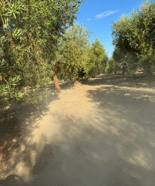 7d192f53-29b8-4b90-8323-a89a79aa6ce4