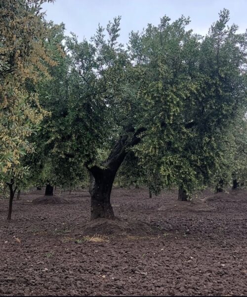 8ec57ea6-456d-4be2-bd9b-a60321a4028e